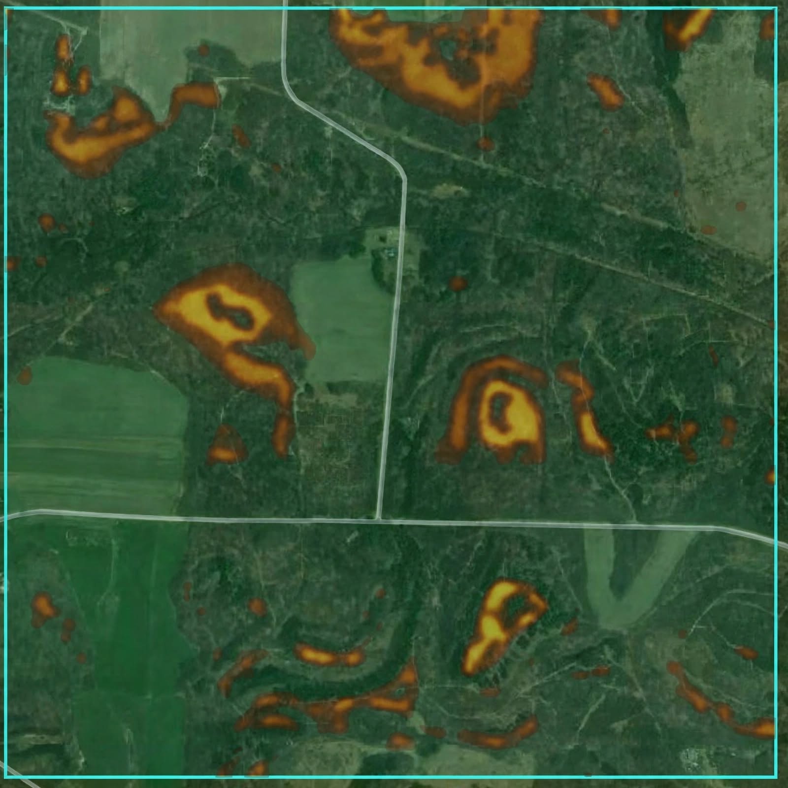 Mature buck bedding elevation-dominance overlay